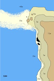 Coral Garden (South Ari)